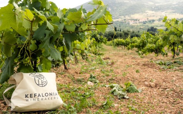 Η «βασίλισσα» Ρομπόλα πρωταγωνιστεί στο 5ο Kefalonia Wine Hub