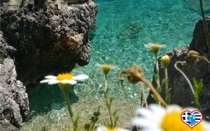 Κεφαλονιά.... πλημμυρισμένη από χρώματα κ' αρώματα (εικόνες)