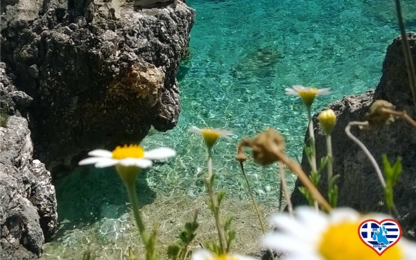 Κεφαλονιά.... πλημμυρισμένη από χρώματα κ' αρώματα (εικόνες)