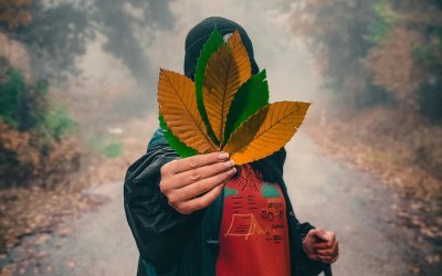Τι συμβαίνει στο σώμα σου έπειτα από 20 λεπτά στη φύση