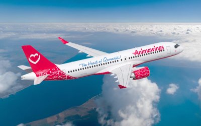 Απευθείας σύνδεση Κεφαλονιάς με Τιμισοάρα από την Animawings το καλοκαίρι του 2026