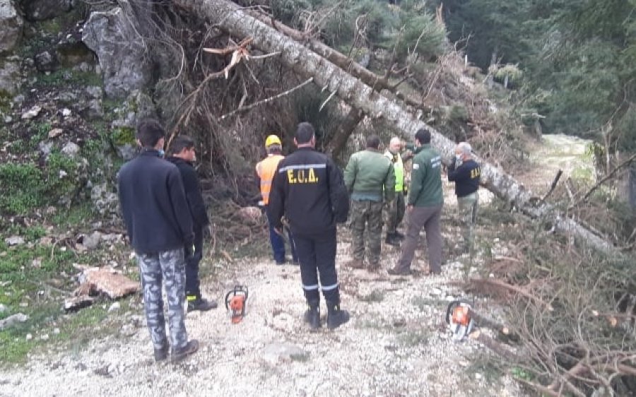 Ο Φορέας Διαχείρισης Αίνου ευχαριστεί την ΕΟΔ Κεφαλονιάς