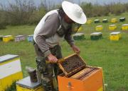 Ενημέρωση για μελισσοκόμους και πατατοκαλλιεργητες από τον ΕΑΣ