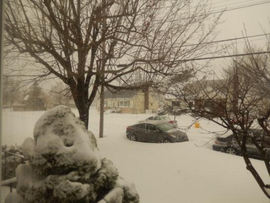 Εικόνες από γειτονιά Κεφαλονιτών στη χιονισμένη Νέα Υόρκη