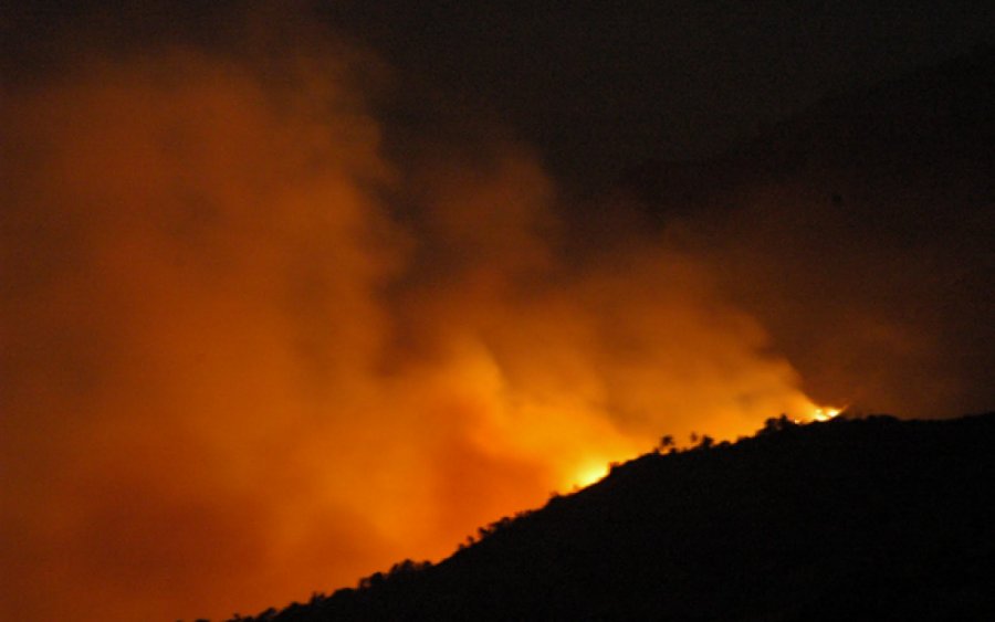 Υπό πλήρη έλεγχο η φωτιά στα Αννινατα