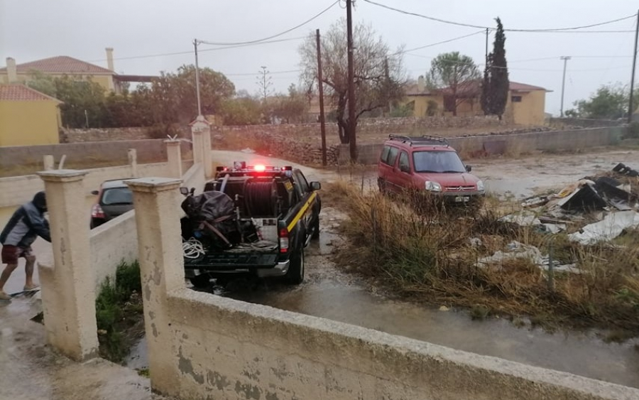 ΕΟΔ Κεφαλονιάς: Άντληση υδάτων στα Μεταξάτα, κόψιμο δέντρων στον “Ελαιώνα” στις Κεραμειές