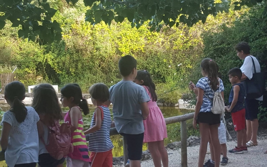 Τα «θαμμένα δεδομένα: πειράματα με το χώμα», η 5η δράση της Κοργιαλενείου στον Βοτανικό Κήπο