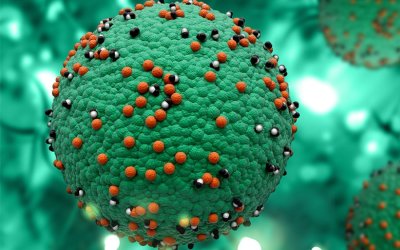 Πρωτιά Ζακύνθου σε κρούσματα λεπτοσπείρωσης — Η Αθηνά Αρβανιτάκη ζητά απαντήσεις από την Περιφέρεια