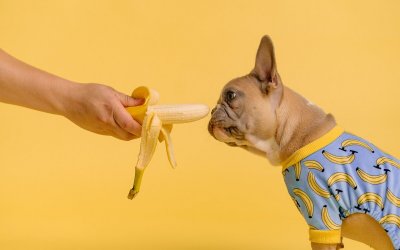 Ο λόγος που πρέπει να τρως μία μπανάνα κάθε βράδυ