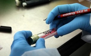 Πύλαρος - Rapid Test: Σε 70 τεστ, κανένα θετικό!