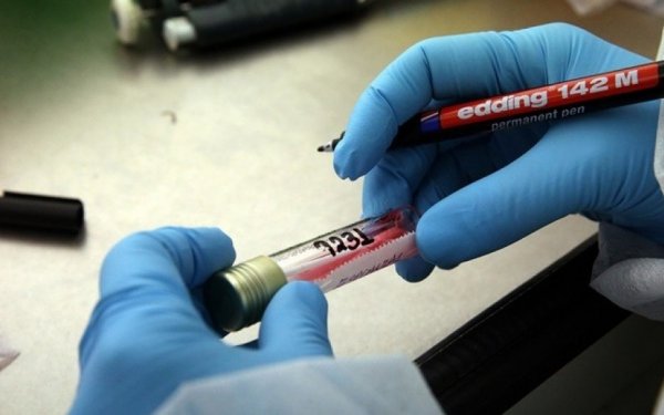 Πύλαρος - Rapid Test: Σε 70 τεστ, κανένα θετικό!