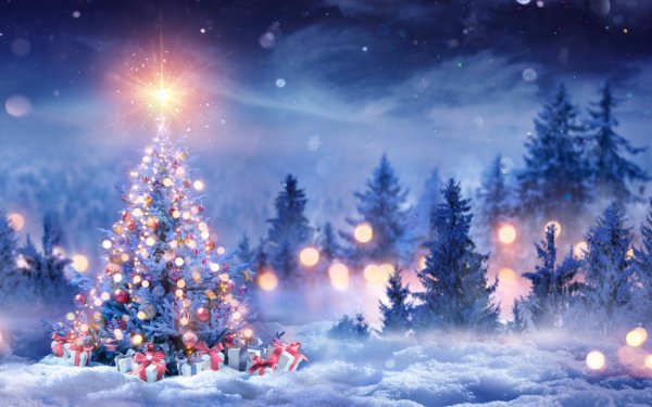 Χριστούγεννα στον Πόρο - Το Σάββατο το Άναμμα του Χριστουγεννιάτικου Δέντρου