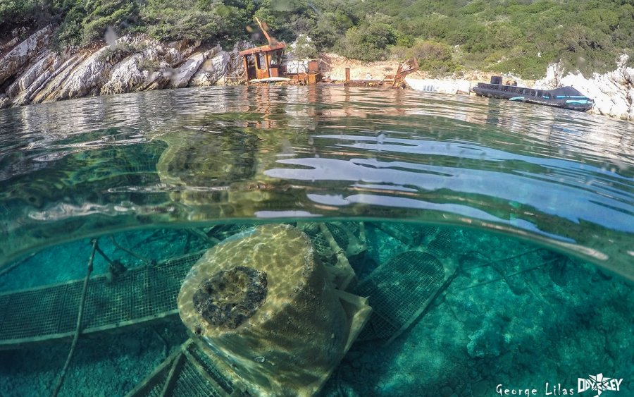 Απόψε: Περιβαλλοντική εκδήλωση στο Βαθύ Ιθάκης για την Παγκόσμια Ημέρα Ωκεανών (εικόνες)