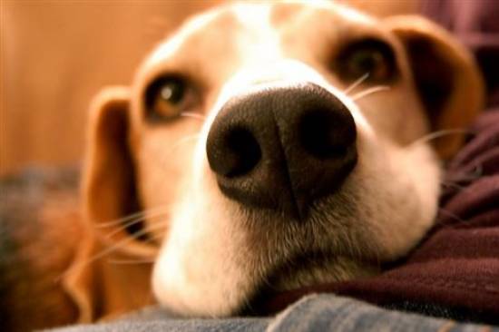 Φωτογραφία: Associated Press