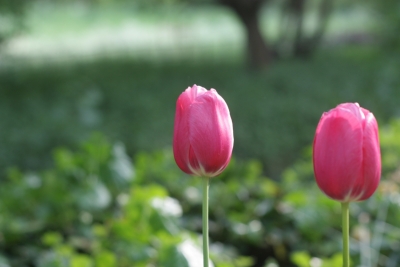 Ο ΥΠΕΡΙΩΝ ευχαριστεί...