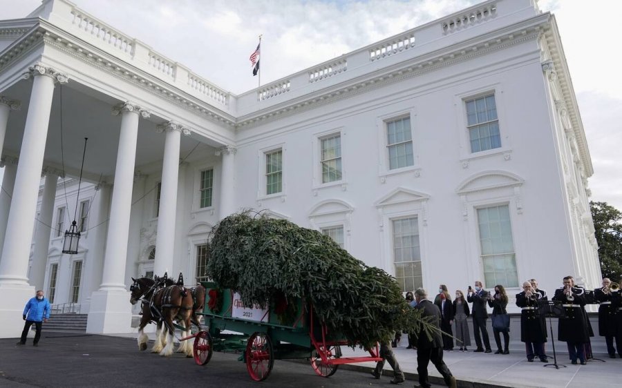 Έφθασε το χριστουγεννιάτικο δέντρο στον Λευκό Οίκο (εικόνες)