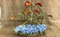 Μοναδικές συνθέσεις λουλουδιών από το ανθοπωλείο ''Euroflowers'' (εικόνες)