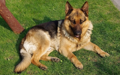 Η φωτογραφία δεν έχει σχέση με το συμβάν