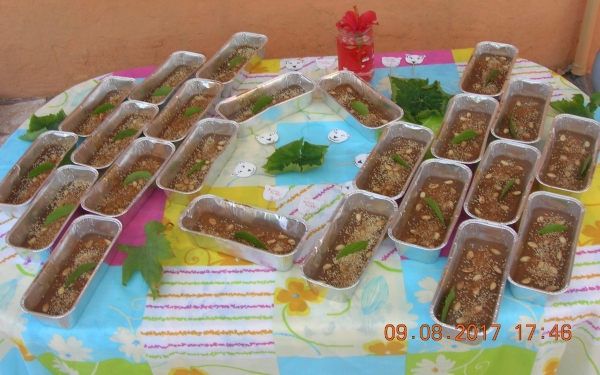 Τα πάθη του αμπελουργού...