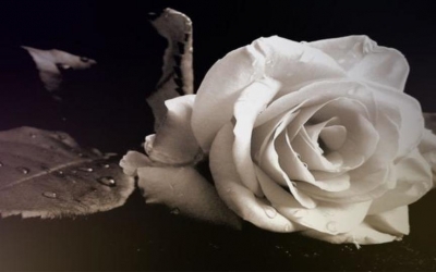 Αύριο η εξόδιος ακολουθία του Σταύρου Κοκκόλη στην Άσσο