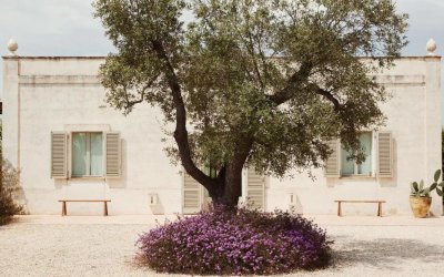 Villa Castelluccio: Μια βίλα στην καρδιά της Απουλίας που υμνεί το ιταλικό καλοκαίρι