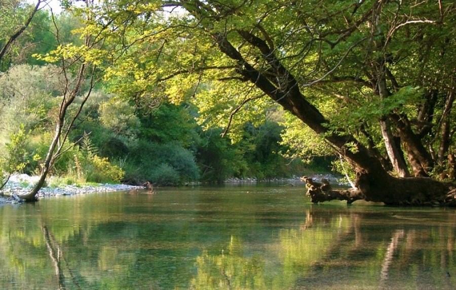 Αύριο η Διαδικτυακή ημερίδα του Φορέα Διαχείρισης Εθνικού Δρυμού Αίνου (πρόγραμμα)