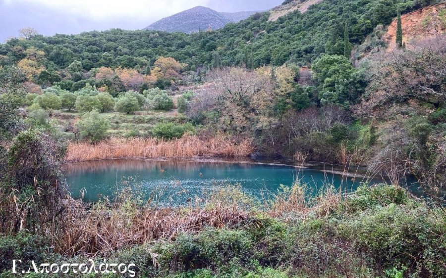 Η λίμνη &quot;Άκολη&quot; στην Κεφαλονιά: Ένας μικρός βιότοπος (εικόνες)