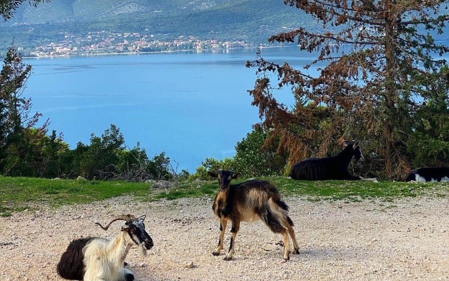 Αγναντεύοντας τη Σάμη... (εικόνες)