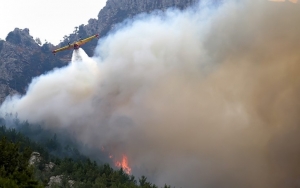 Επιτροπή Αγώνα Φορέων : Διεκδικούμε δασοπροστασία - πυροπροστασία, μέτρα για τους πληγέντες