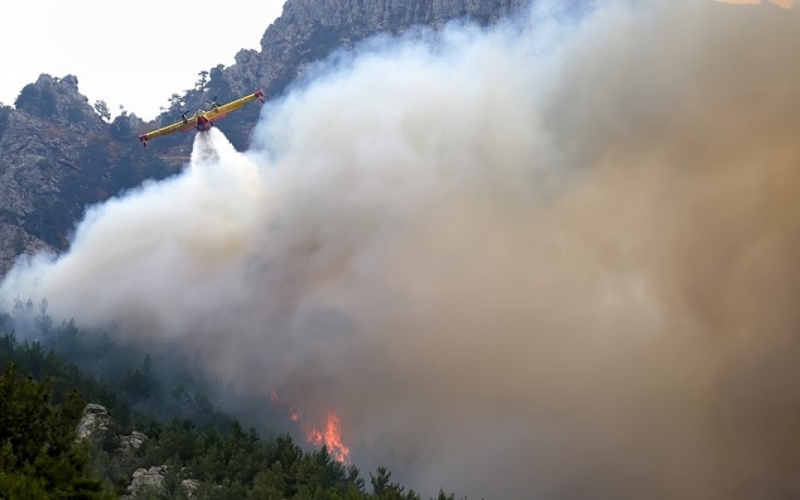 Επιτροπή Αγώνα Φορέων : Διεκδικούμε δασοπροστασία - πυροπροστασία, μέτρα για τους πληγέντες