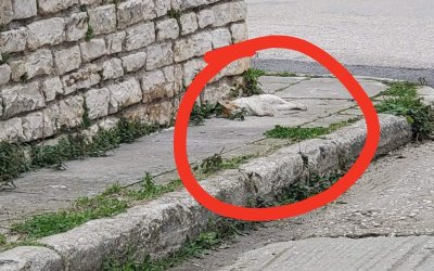 Προσοχή! Φόλες στο Ληξούρι