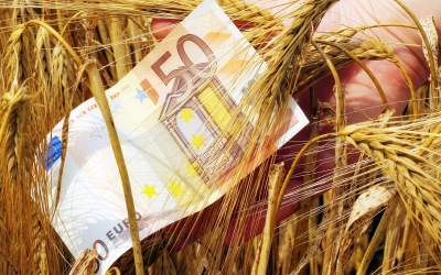 Σήμερα στους λογαριασμούς αγροτών τα χρήματα του ΕΛΓΑ