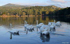 Δημοτική Κοινότητα Αργοστολίου: Με ιδιαίτερη χαρά χαιρετίζουμε την έναρξη των καλοκαιρινών εκδηλώσεων στον Κούταβο