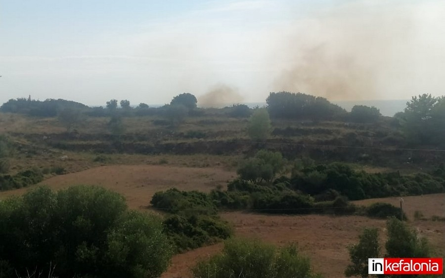 Μηνιές: Έσβησαν τη φωτιά πριν πάρει διαστάσεις
