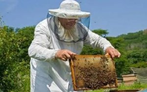 Μελισσοκομικός Συνεταιρισμός Κεφαλονιάς - Ιθάκης: "Φίλε Αγρότη, μην ραντίζεις όταν υπάρχουν άνθη"