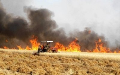 Ε.Α.Σ.:  Αποζημίωση αγροτών που επλήγησαν από τις πυρκαγιές 2021