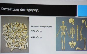 Ο πολεμιστής της Εποχής του Χαλκού “αποκαλύπτεται”: Νέα δεδομένα από την σπουδαία ανασκαφή στην Κεφαλονιά