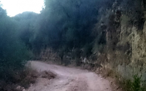 Νέα επιστολή κατοίκων προς τον Δήμαρχο περί των μη αποψηλωμένων οικοπέδων και ελαιοστασίων