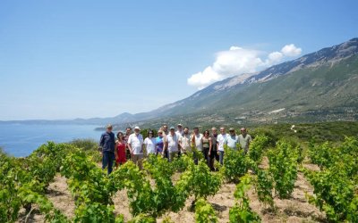 Τι αποκαλύφθηκε για τη Ρομπόλα στο 5ο Kefalonia Wine Hub – Το μέλλον της κορυφαίας ποικιλίας της Κεφαλονιάς στο μικροσκόπιο!