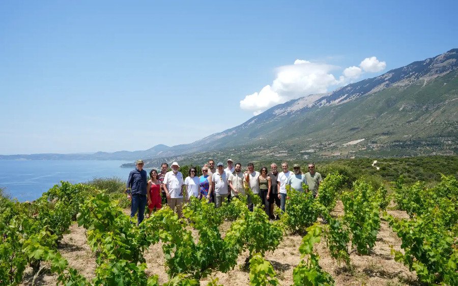 Τι αποκαλύφθηκε για τη Ρομπόλα στο 5ο Kefalonia Wine Hub – Το μέλλον της κορυφαίας ποικιλίας της Κεφαλονιάς στο μικροσκόπιο!