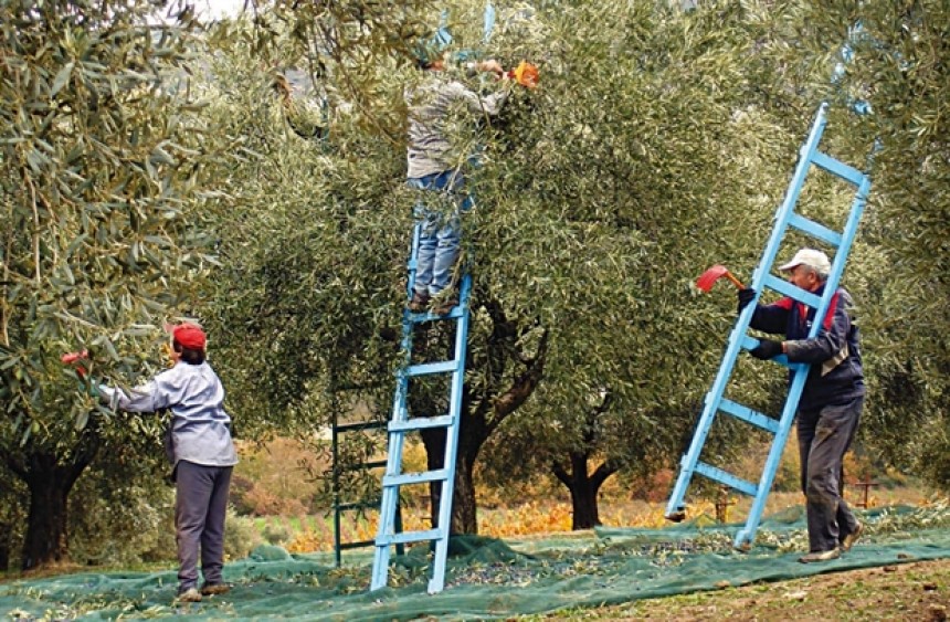 Ε.Α.Σ. : Δεν λαμβάνεις σωστή Επιδότηση υπέβαλε τώρα Ένσταση