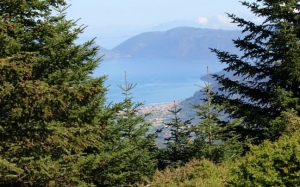 Μικέλης Μαφρέδας: Ο Εθνικός Δρυμός Αίνου είναι σε κίνδυνο!