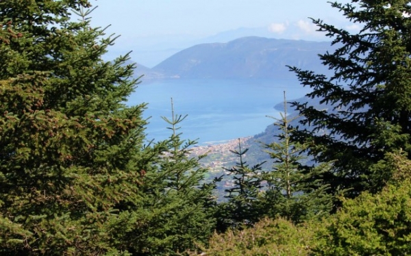 Μικέλης Μαφρέδας: Ο Εθνικός Δρυμός Αίνου είναι σε κίνδυνο!