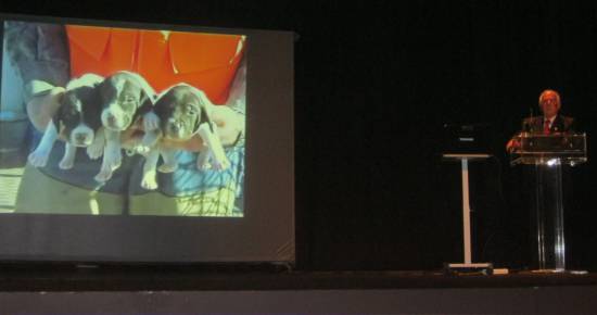 Συμπεράσματα 1ης Ημερίδας Τουριστικής Ανάπτυξης Κεφαλλονιάς