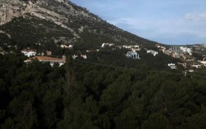 Ξεμπλοκάρουν οι δασικοί χάρτες: Έτσι θα διαφυλάξετε την περιουσία σας