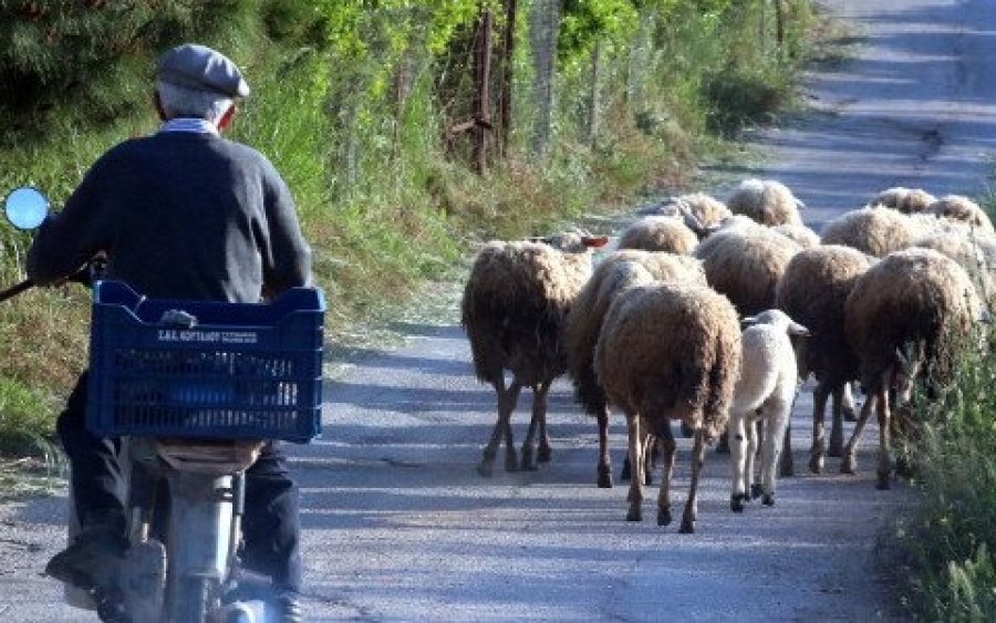 Κεφαλονιά: Αντιδρούν κτηνοτρόφοι-αγρότες-αλιείς για τις αποζημιώσεις του ΙΑΝΟΥ &amp; τους Δασικούς Χάρτες