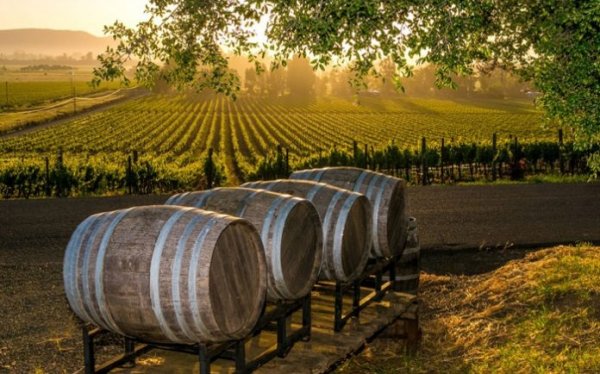 Yπουργείο Ναυτιλίας: Επιχορήγηση με 4.000 ευρώ του Συνδέσμου Οινοποιών Κεφαλονιάς για διοργάνωση δράσεων προβολής γαστρονομίας και οίνου (απόφαση)