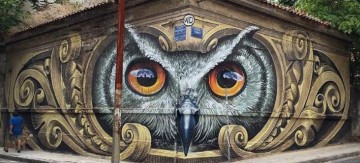 Το γκράφιτι με την κουκουβάγια που έχει «τρελάνει» το διαδίκτυο -Βρίσκεται στην Αθήνα [εικόνα]