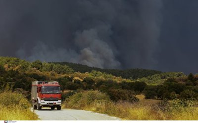 Καίει για 15η μέρα η φωτιά στον Έβρο, συνεχίζεται η μάχη με τις φλόγες