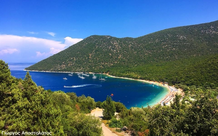 Αντίσαμος: Παραδεισένια ομορφιά (εικόνες)